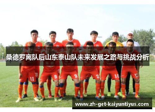 桑德罗离队后山东泰山队未来发展之路与挑战分析