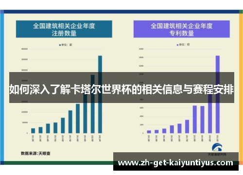 如何深入了解卡塔尔世界杯的相关信息与赛程安排