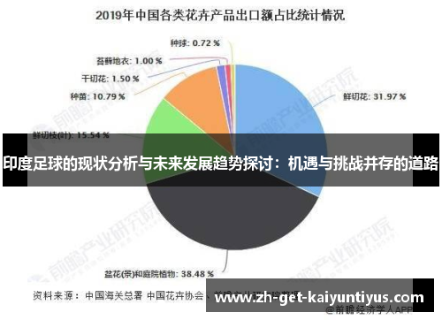 印度足球的现状分析与未来发展趋势探讨：机遇与挑战并存的道路