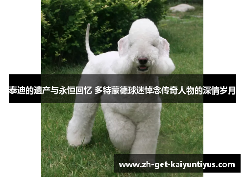 泰迪的遗产与永恒回忆 多特蒙德球迷悼念传奇人物的深情岁月