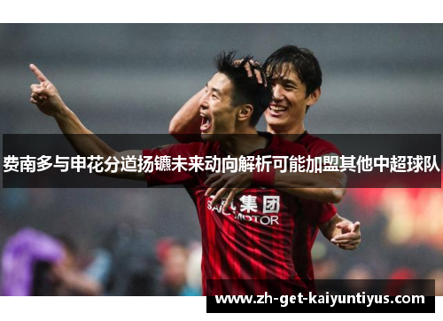 费南多与申花分道扬镳未来动向解析可能加盟其他中超球队