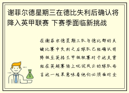 谢菲尔德星期三在德比失利后确认将降入英甲联赛 下赛季面临新挑战